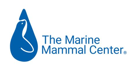Ocean Career The Marine Mammal Center Marine Science Educator Opportunity News