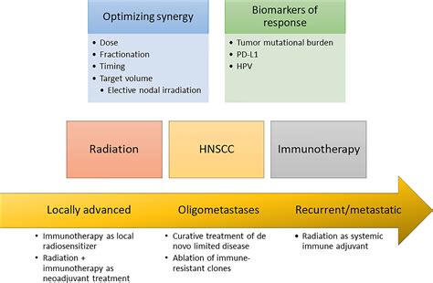 Frontiers Radiotherapy And Immunotherapy For Head And Neck Cancer