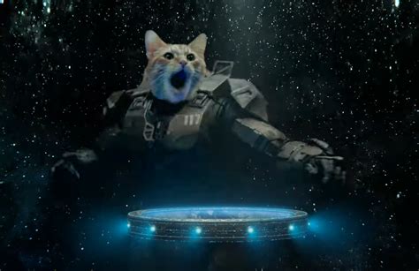 Taiki Waititis Xbox Film Contains Master Chief As A Dj Cat Esquire