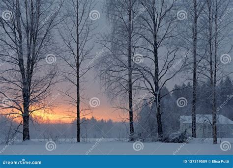 Sunrise In Cold Winter Morning In Countryside Stock Image Image Of