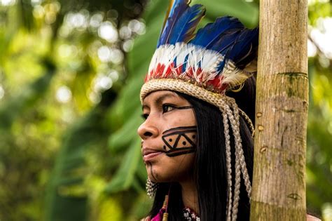 Curiosidades Sobre A Cultura Tupi Guarani Sabra Sociedade Artística