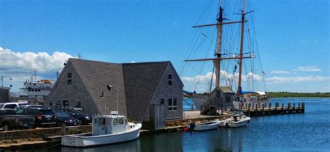 insider s guide to the woods hole film festival falmouth visitor