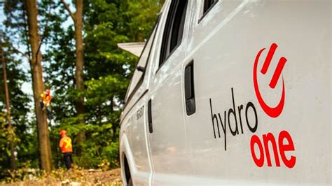 In the first phase, wsp developed a clear definition of hydro one's objectives and a thorough understanding of its risk tolerance, risk processes, organizational constraints, and governance. Progressive Conservatives call for Hydro One sunshine list ...