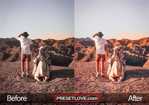 Edit your photo with advance tool. Ektar 100 | FREE Preset Download for Lightroom | PresetLove