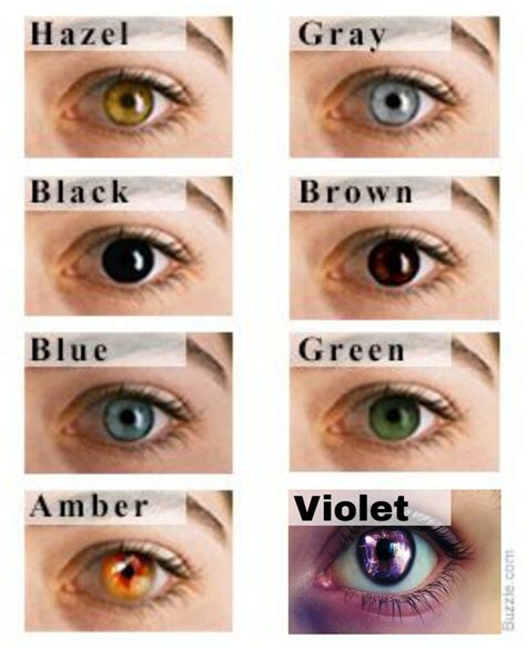 Overview Of Eye Color Depictions In 2023 Eye Color Chart Rare Eye