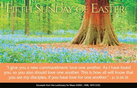 We Must Undergo Many Trials Reflection For The 5th Sunday Of Easter