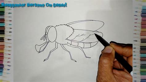 Cara Menggambar Lalat Dengan Mudah How To Draw Flies In Easy Way