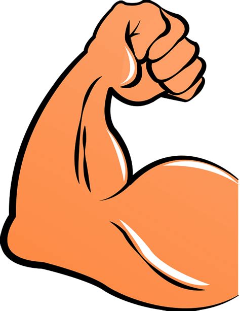 Muscle Iconpng