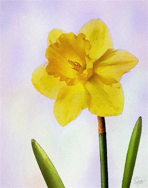 Daffodil Faux Watercolor Art Print By Endre Balogh