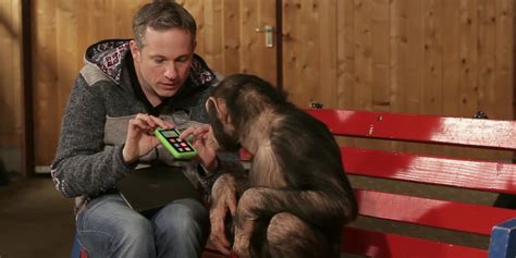 Monkeys Watching Ipad Magic Is An Example Of Pure Joy Huffpost Uk