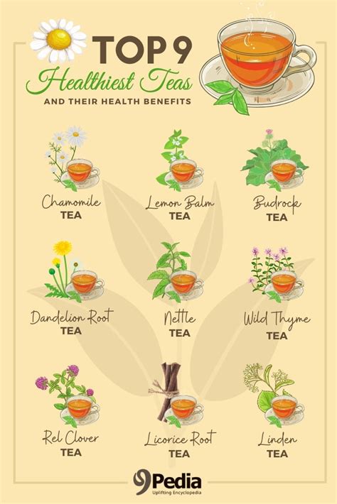 Top 9 Healthiest Teas In The World And Their Medicinal Benefits