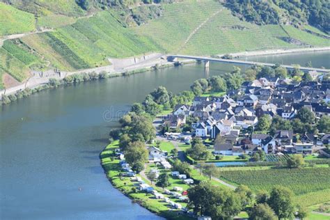 Brug En Dorpswolf En Der Mosel Stock Foto Image Of Overzees Wolf