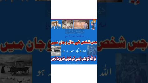 Hazrat Ali Rz Urduquotes Youtubeshorts YouTube