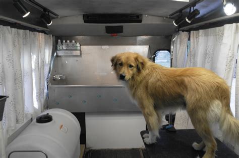 Aussie pet mobile is a quality pet grooming service that offers an exceptional full service grooming experience for your pets in a stress free environment in full comfort and safety right in your driveway. Geoffrey Wilson, Author at #1 MOBILE Dog Grooming in ...