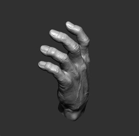 Realistic Male Hand Free 3d Model Cgtrader