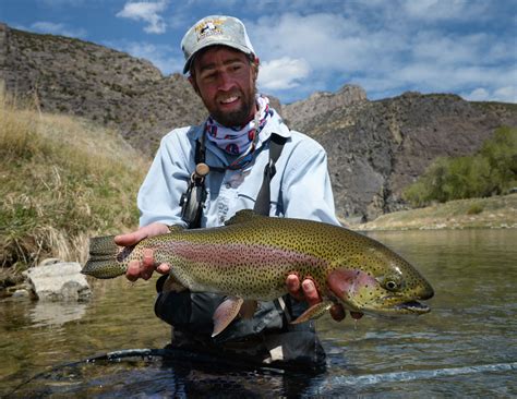 7 Best Places For Large Wild Trout In The United States Yellow Dog