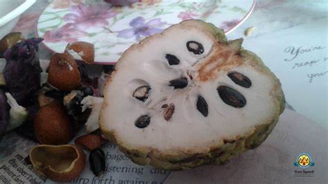 Воспаление кишечника диеты   Воспаление кишечника диеты