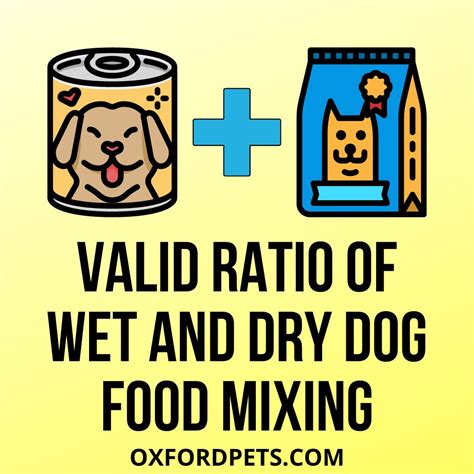 Mixing Wet And Dry Dog Food The Correct Ratio Oxford Pets