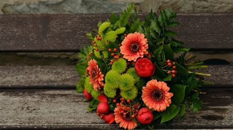 Bunch Of Flowers Wallpaper 4k Gerbera Daisy Floral