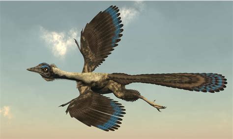 Archaeopteryx Animal Facts Archaeopteryx Lithographica A Z Animals