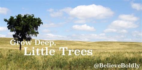 Grow Deep Little Trees Growing Deep Tree
