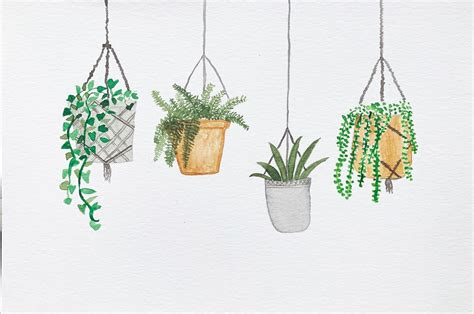 Hanging Plants “dont Leave Me Hanging” Plant Drawing Plant Doodle