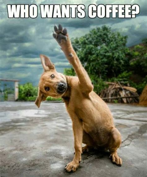 80 Good Morning Coffee Memes And Images To Kick Start Your Day