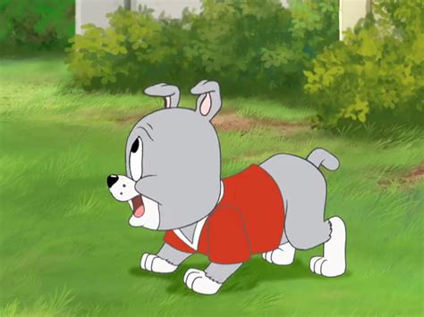 Image Game Set Match Tykes Appearancepng Tom And Jerry Wiki