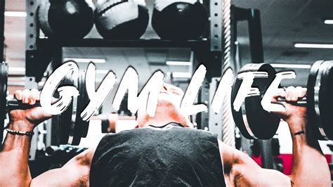 Gym Life Youtube