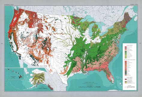 Usa Major Forest Types Landscape Drawings Types Of Forests Map