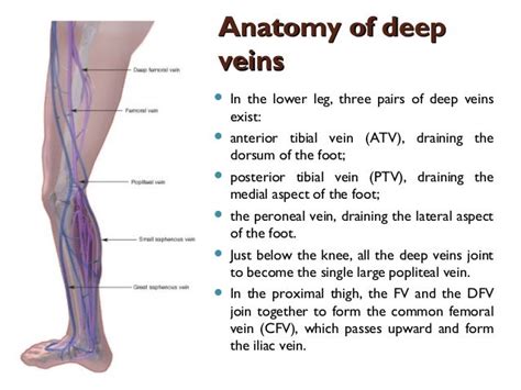 Deep Vein Thrombosis Maria