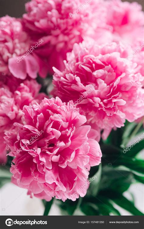 Beautiful Bouquet Of Pink Peoniespastel Floral Wallpaper Background