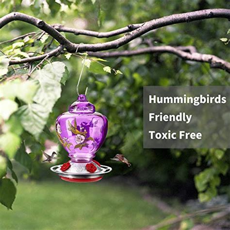 13 Best Hummingbird Feeders Reviews Guide
