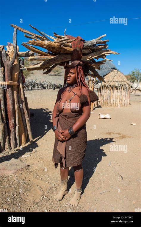 Himba Woman Carrying Wood On Her Head Kaokoland Namibia Stock Photo