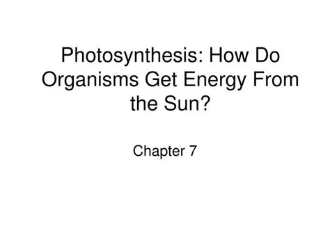 Ppt Photosynthesis How Do Organisms Get Energy From The Sun