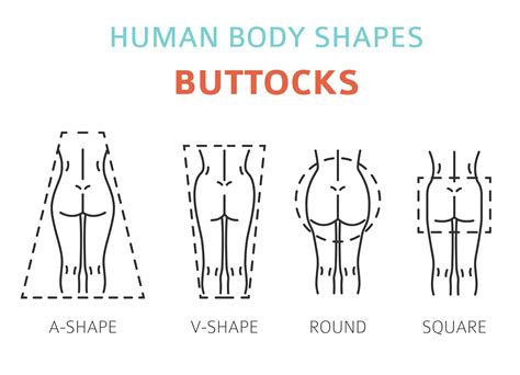 4 Types Of Buttocks On Females Proven With Pictures