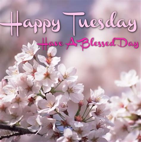 Good morning and have a lovely tuesday. Happy Tuesday Have A Blessed Day Pictures, Photos, and ...