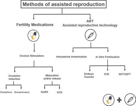 Overview Of The Classification Of Methods Of Assisted Reproduction Download Scientific Diagram