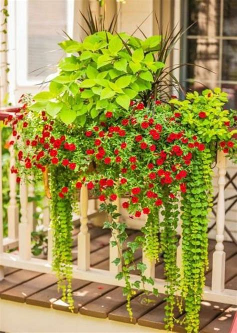idee deco balcon avec des fleurs Dream Backyard Garden, Backyard Garden