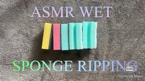 Asmr Wet 6x Sponge Party Ripping Scratching Picking Crunchy And Wet Squeezing Satisfying