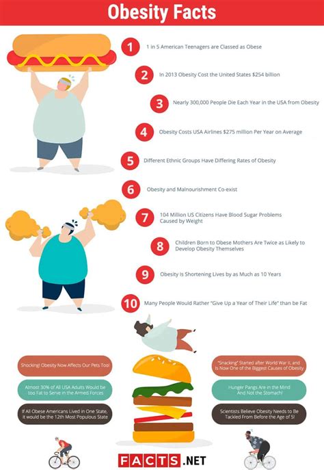 Top 16 Obesity Facts Causes Effects Prevention More Facts Net