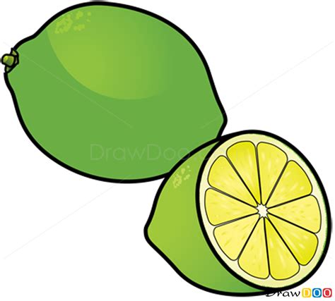 How To Draw Lime Fruits