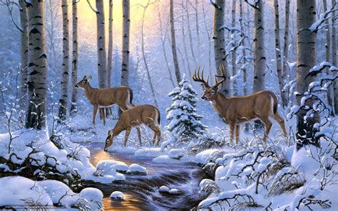 Winter Deer Wallpapers Top Free Winter Deer Backgrounds Wallpaperaccess