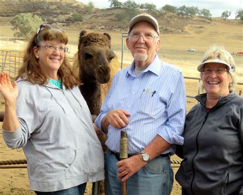 For this reason, it has been used around the world as a supplement or while the idea of drinking milk from a camel may seem strange to those of us who grew up in the west, cultures around the world have consumed. Pin on Oasis Camel Dairy TOP SHOTS