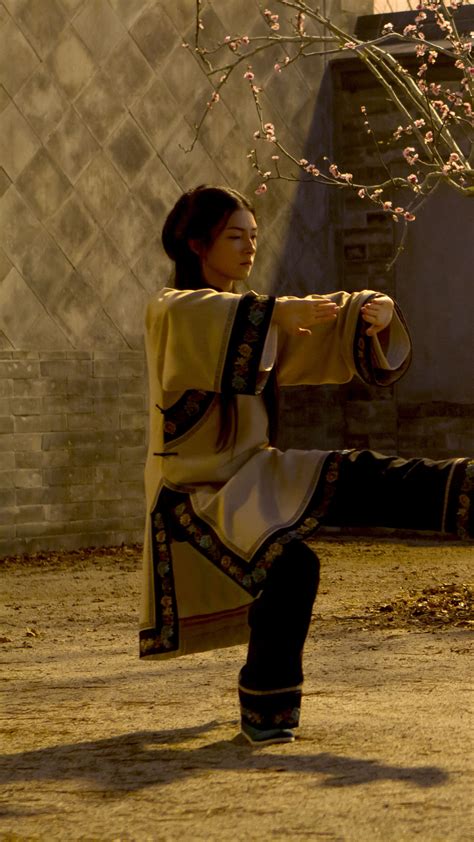 Wallpaper Crouching Tiger Hidden Dragon Sword Of Destiny Michelle Yeoh Best Movies