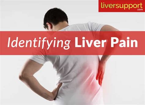 Liver Pain Left Side