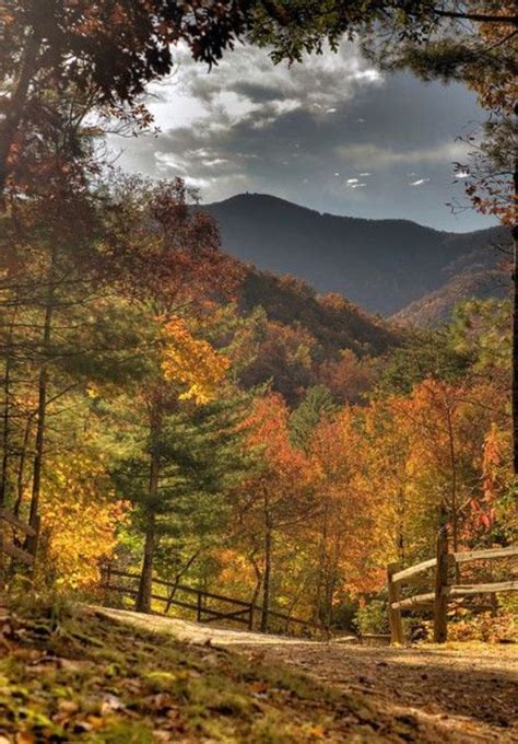 The Appalachians Of Kentucky Autumn Scenery Scenery Nature Photography