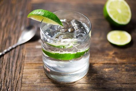 10 Classic Gin Cocktails You Must Try Chefs Move