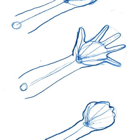 See how strong tendons are attached to the arch of the palm of your hand, and how on the back of it are grouped to straighten your fingers. How to Draw Manga Hands and Feet for Beginners
