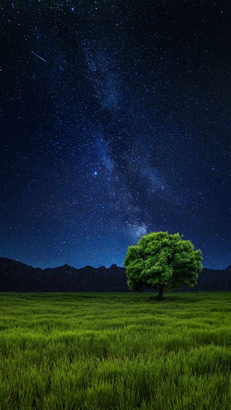 Green Fields Starry Sky Iphone Wallpaper Iphone Wallpapers Iphone